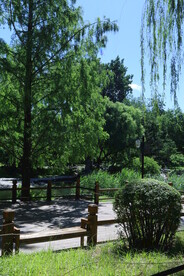 公园风景  