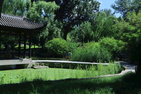 陶然亭风景  