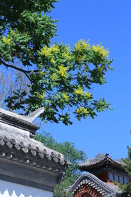 公园风景  