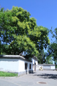 公园风景 