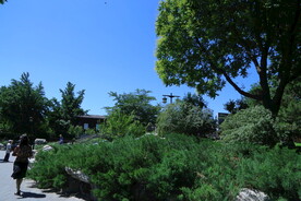 陶然亭风景  