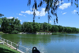 公园风景 