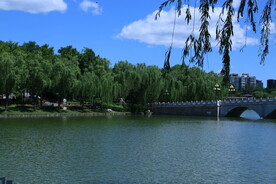 公园风景  