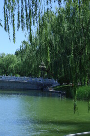 公园风景   