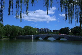 公园风景   
