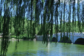 陶然亭风景  