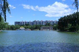 公园风景  