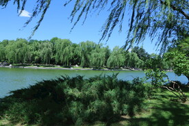 公园风景  