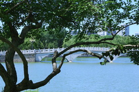 公园风景 