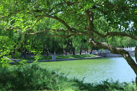 公园风景 
