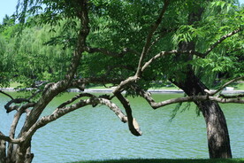 陶然亭风景 