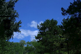公园风景  
