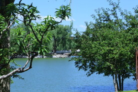 公园风景 