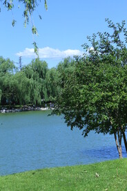 公园风景  