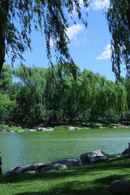 公园风景  