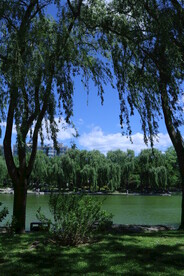 陶然亭风景 