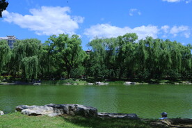 公园风景  