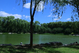 公园风景  