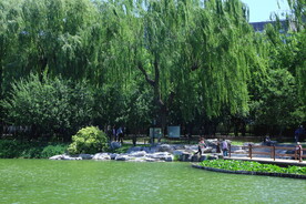 陶然亭风景 