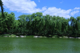 陶然亭风景  