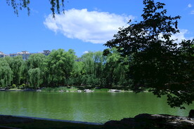 陶然亭风景 