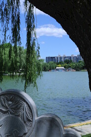 公园风景 