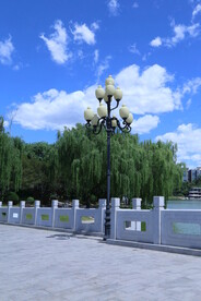 公园风景  