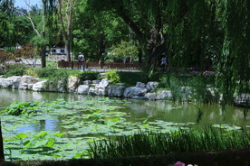 公园风景  