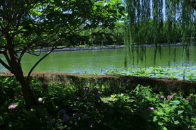 公园风景 