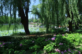 公园风景  
