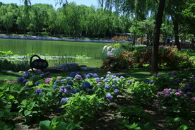 公园风景  