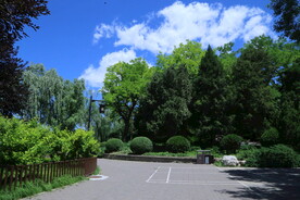 公园风景 