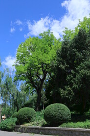 公园风景 