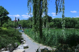 陶然亭风景 