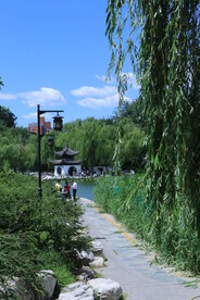 公园风景  