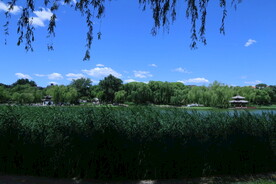 公园风景 