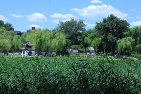 公园风景 