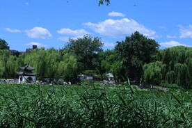 公园风景  