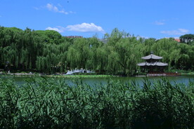 公园风景 