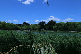 公园风景  