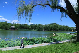 公园风景 