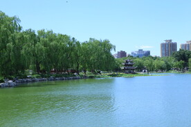 公园风景  