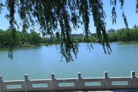 公园风景  