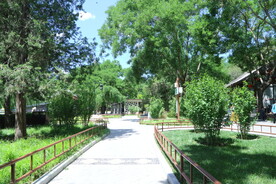 公园风景  