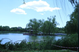 公园风景 