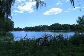 公园风景  