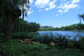 陶然亭风景  