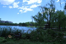 公园风景  