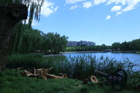 公园风景 