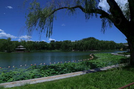 公园风景   